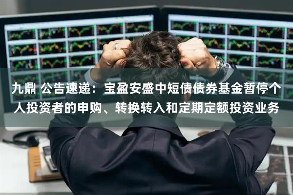 九鼎 公告速递：宝盈安盛中短债债券基金暂停个人投资者的申购、转换转入和定期定额投资业务