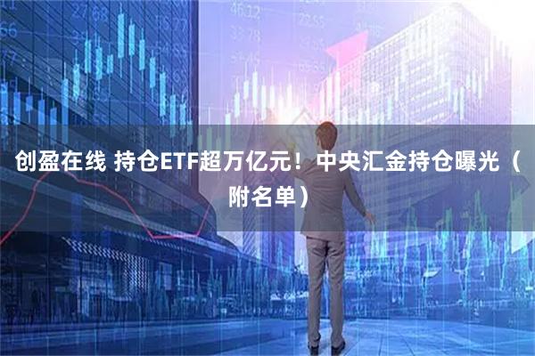 创盈在线 持仓ETF超万亿元！中央汇金持仓曝光（附名单）